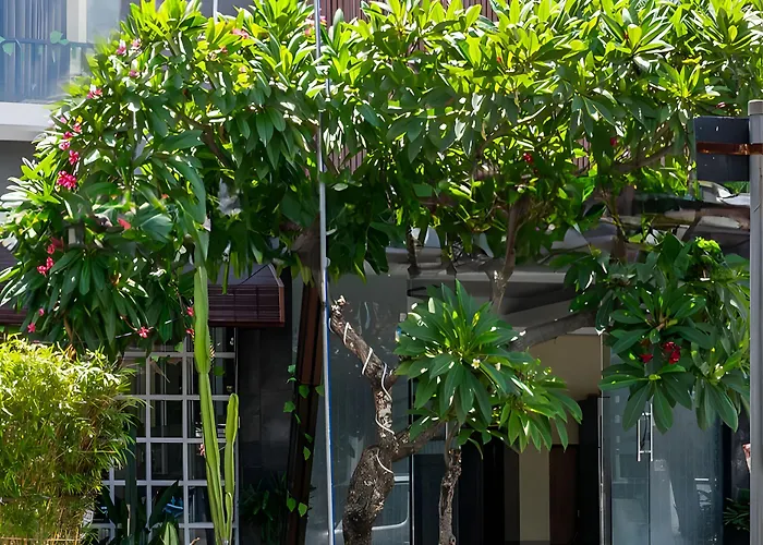 Collection O Near Airport Ngurah Rai فندق 4*